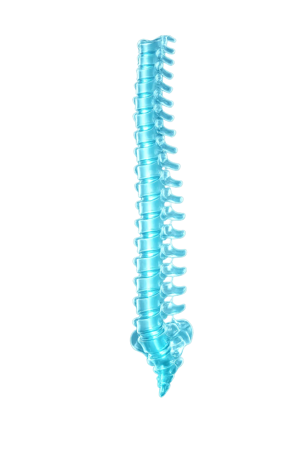 Holographic Glass Spine